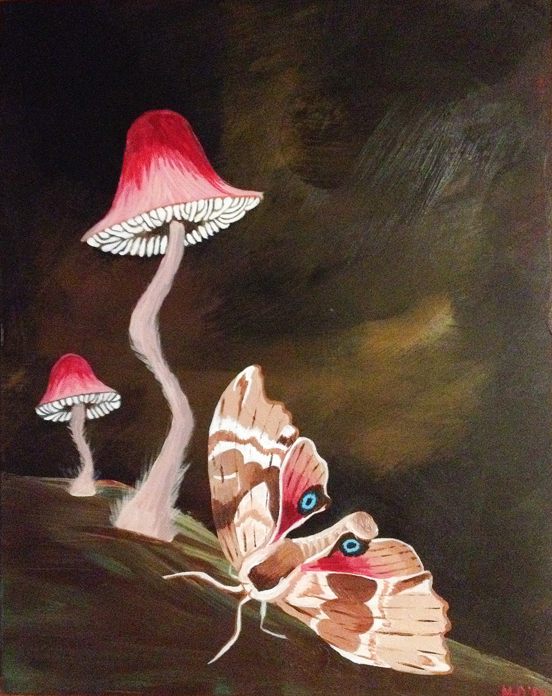 Margaret Darcher Mushrooms and Moths Painting